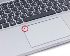 Тачпад на ноутбуке – включение и отключение панели